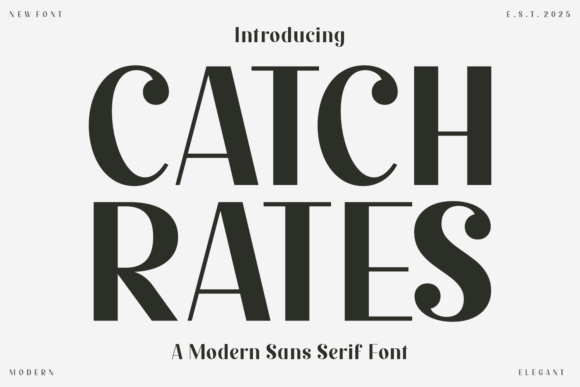 Catch Rates Font: A Display Typeface for Editorial Impact